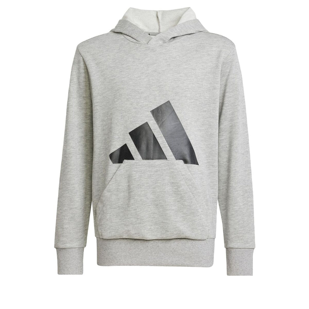 Adidas Big Logo Hoodie Meisjes - Lichtgrijs