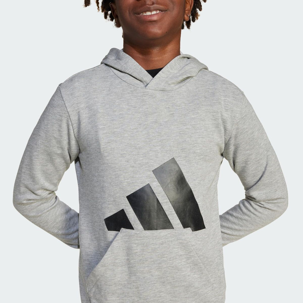 Adidas Big Logo Hoodie Meisjes - Lichtgrijs