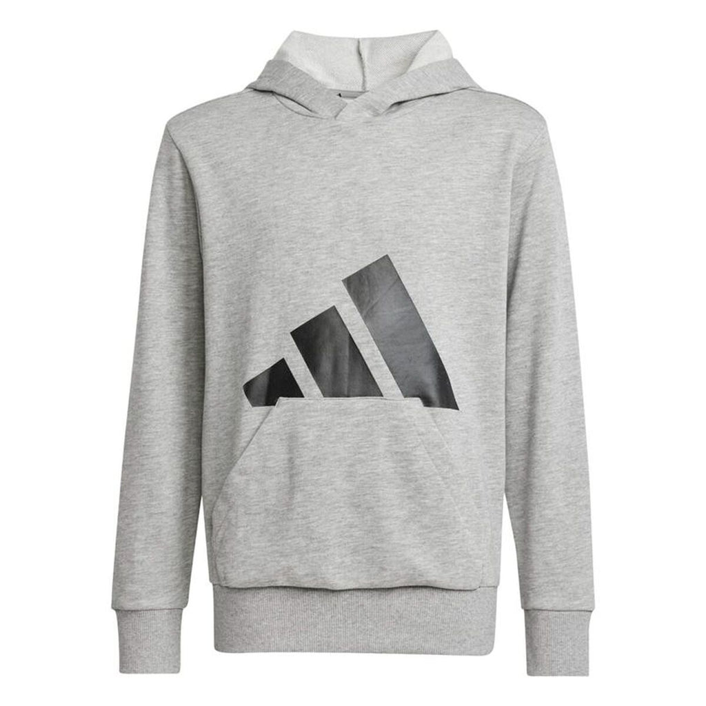 Adidas Big Logo Hoodie Meisjes - Lichtgrijs