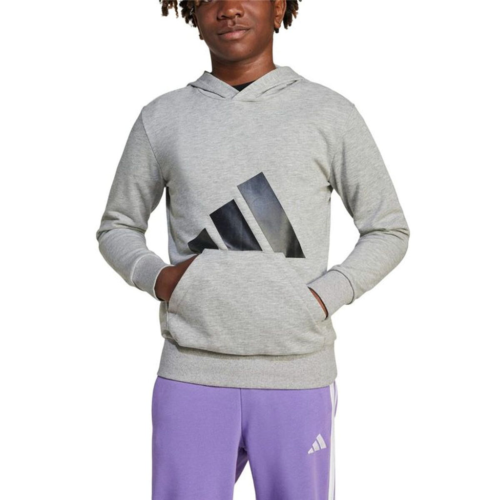 Adidas Big Logo Hoodie Meisjes - Lichtgrijs