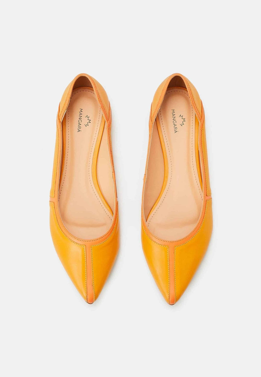 Pitanga Yellow Leather Ballerinas-1