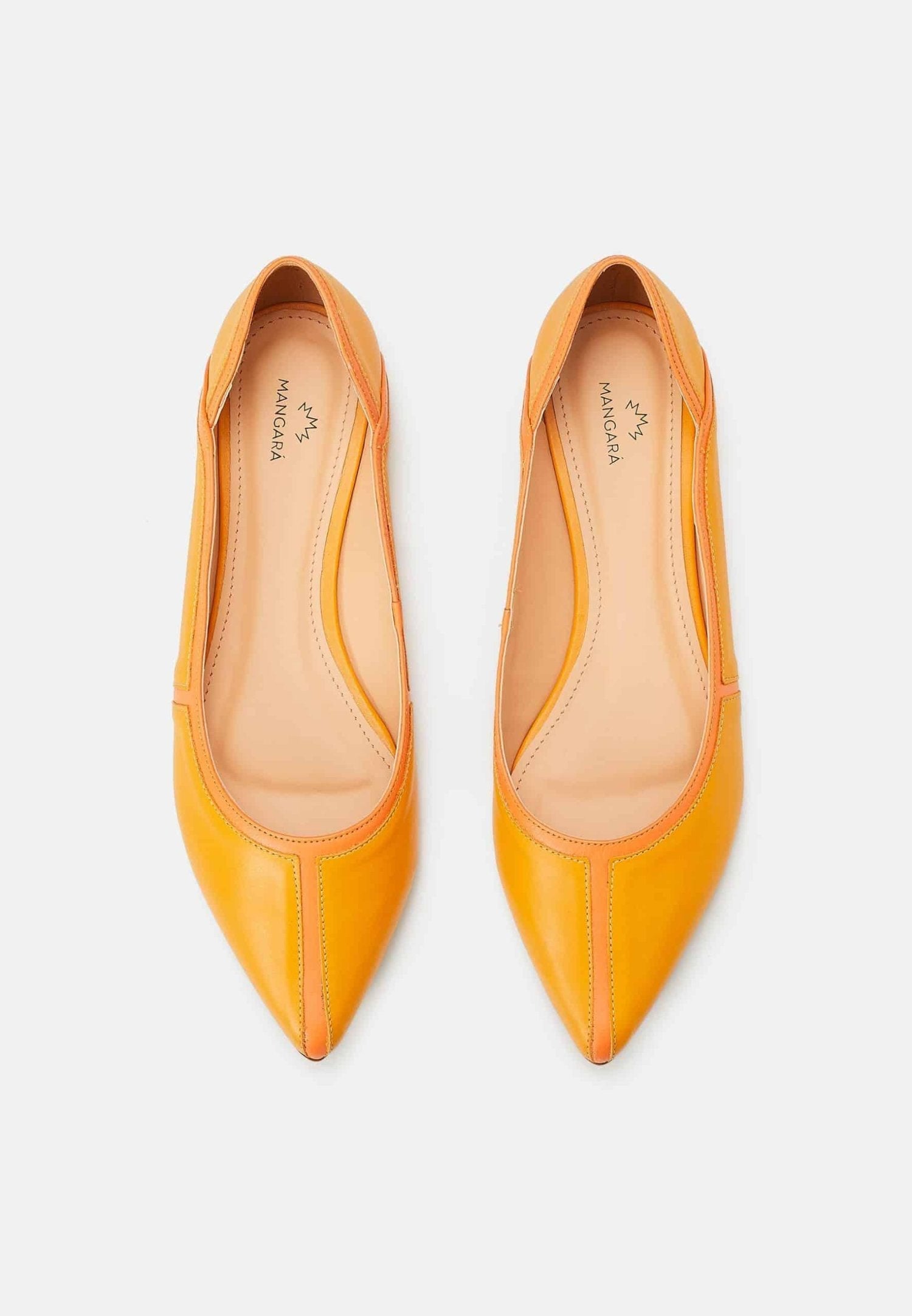 Pitanga Yellow Leather Ballerinas-1